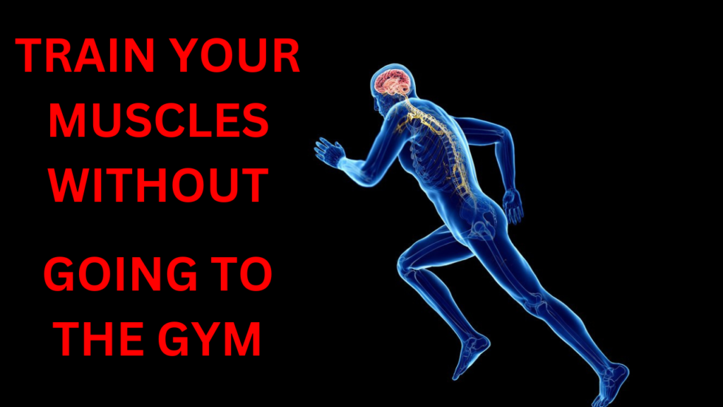 How To Train Your Muscles Without Going To The Gym